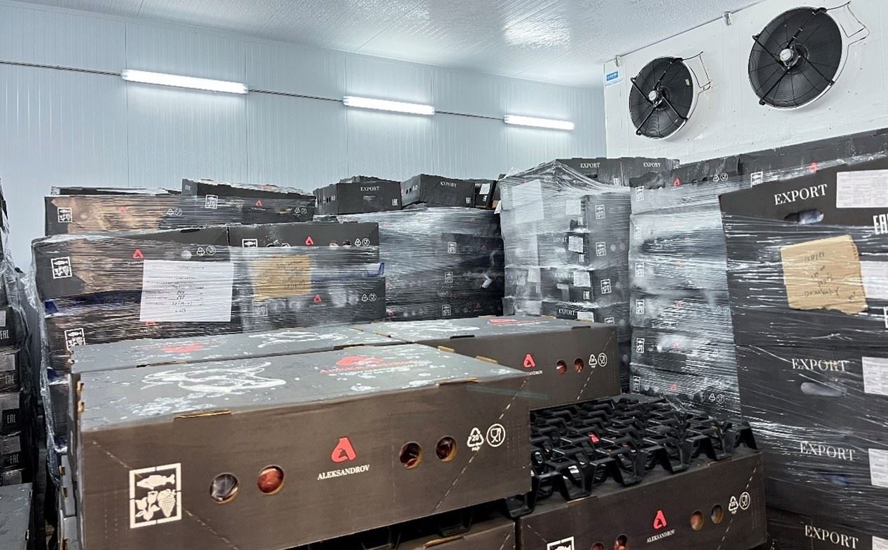 恒溫冷庫中，包裝好的牛肉等待發(fā)往中國。人民網(wǎng)記者 朱虹攝