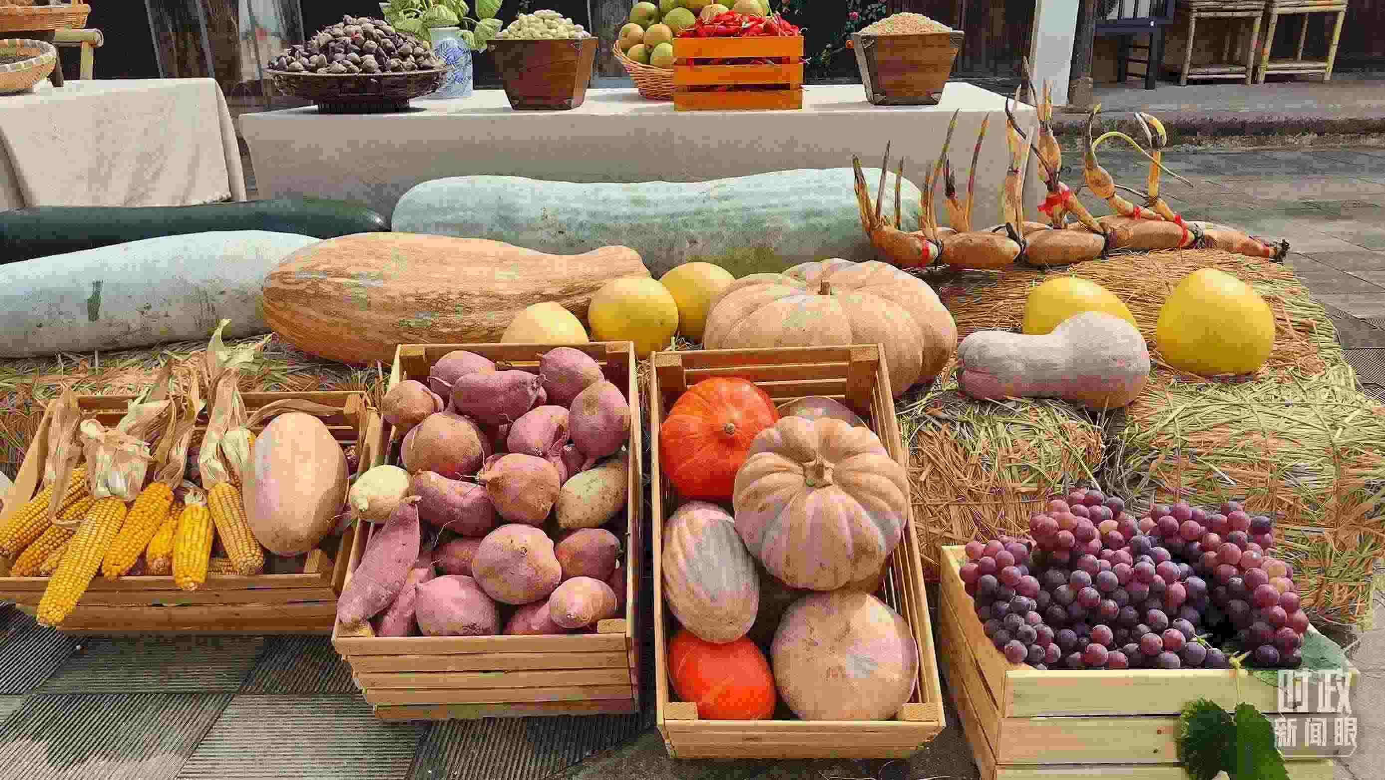 △村廣場(chǎng)“共富市集”，擺放著種類豐富的特色農(nóng)產(chǎn)品。（總臺(tái)央視記者楊立峰拍攝）