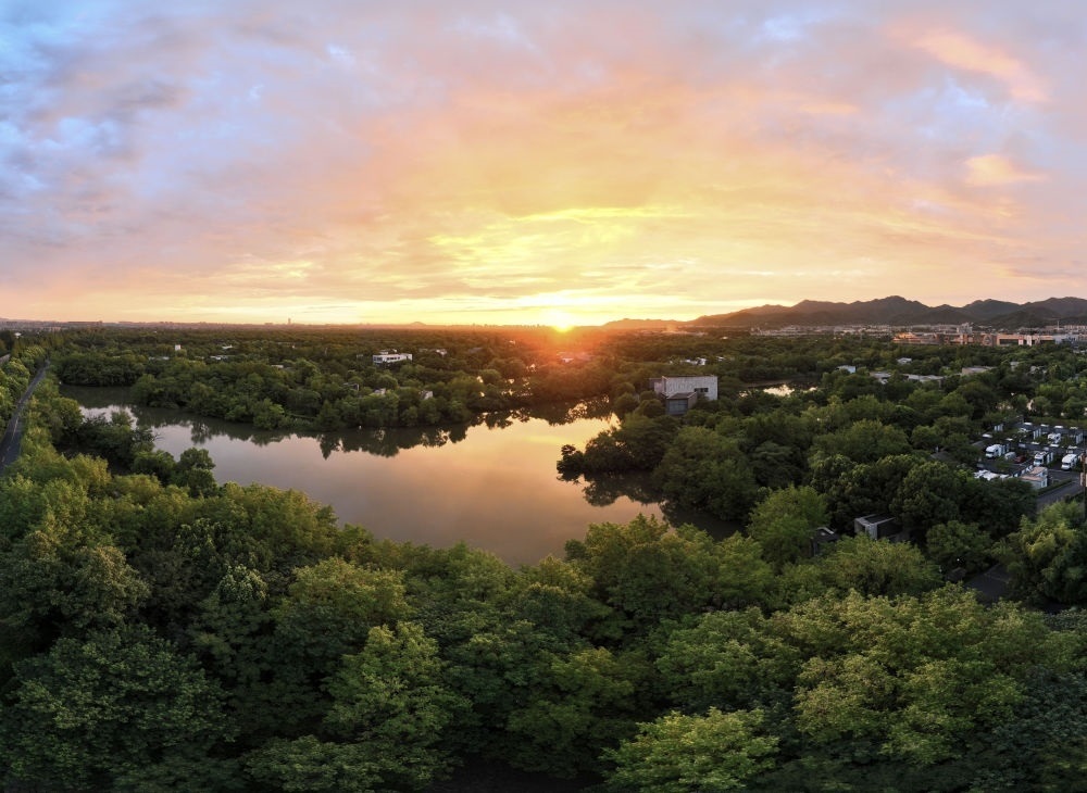 杭州西溪濕地日出景觀。