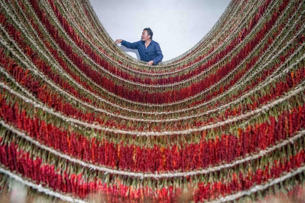 在貴州省畢節(jié)市大方縣理化鄉(xiāng)金雞村，村民查看辣椒烘干情況。新華社發(fā) 羅大富攝