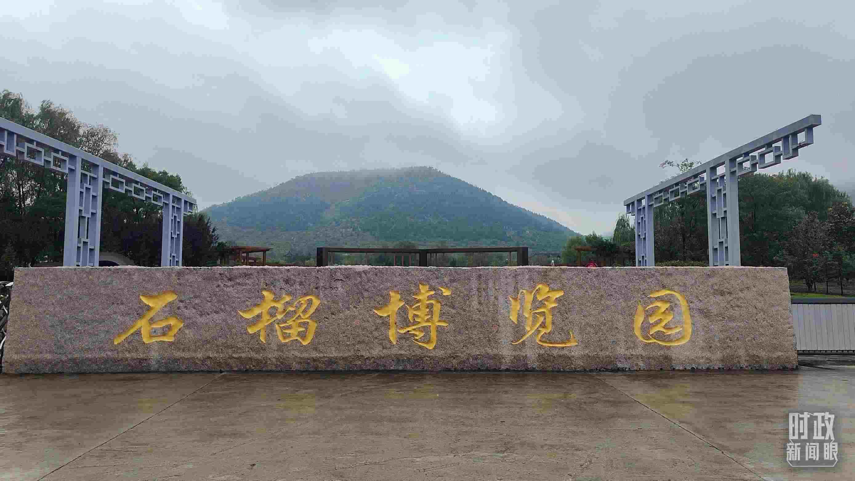 △石榴種質(zhì)資源庫(kù)位于石榴博覽園內(nèi)。（總臺(tái)央視記者楊立峰拍攝）