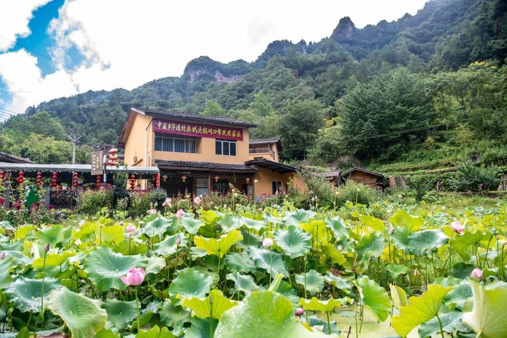 這是8月28日拍攝的華溪村村民開設(shè)的農(nóng)家樂外景。新華社記者 唐奕 攝