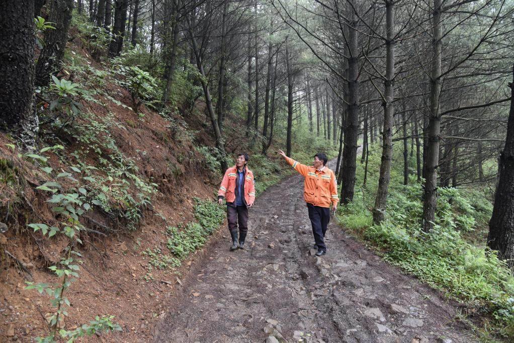 海雀村生態(tài)護(hù)林員馬正安（左）和海雀村林管員王光德（右）在日常巡山護(hù)林。新華社記者 李凡 攝