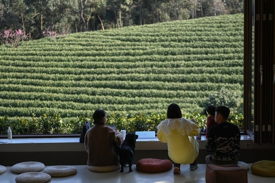 游客在浙江省安吉縣黃杜村萬畝茶園邊的咖啡館休閑（2023年2月21日攝）。