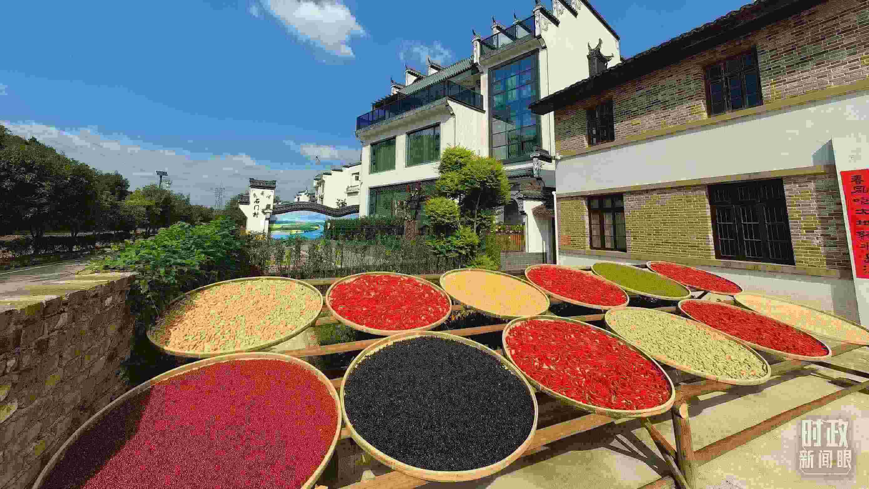 △曬秋農(nóng)俗成為婺源鄉(xiāng)村的一道美麗風(fēng)景。（總臺央視記者段德文拍攝）