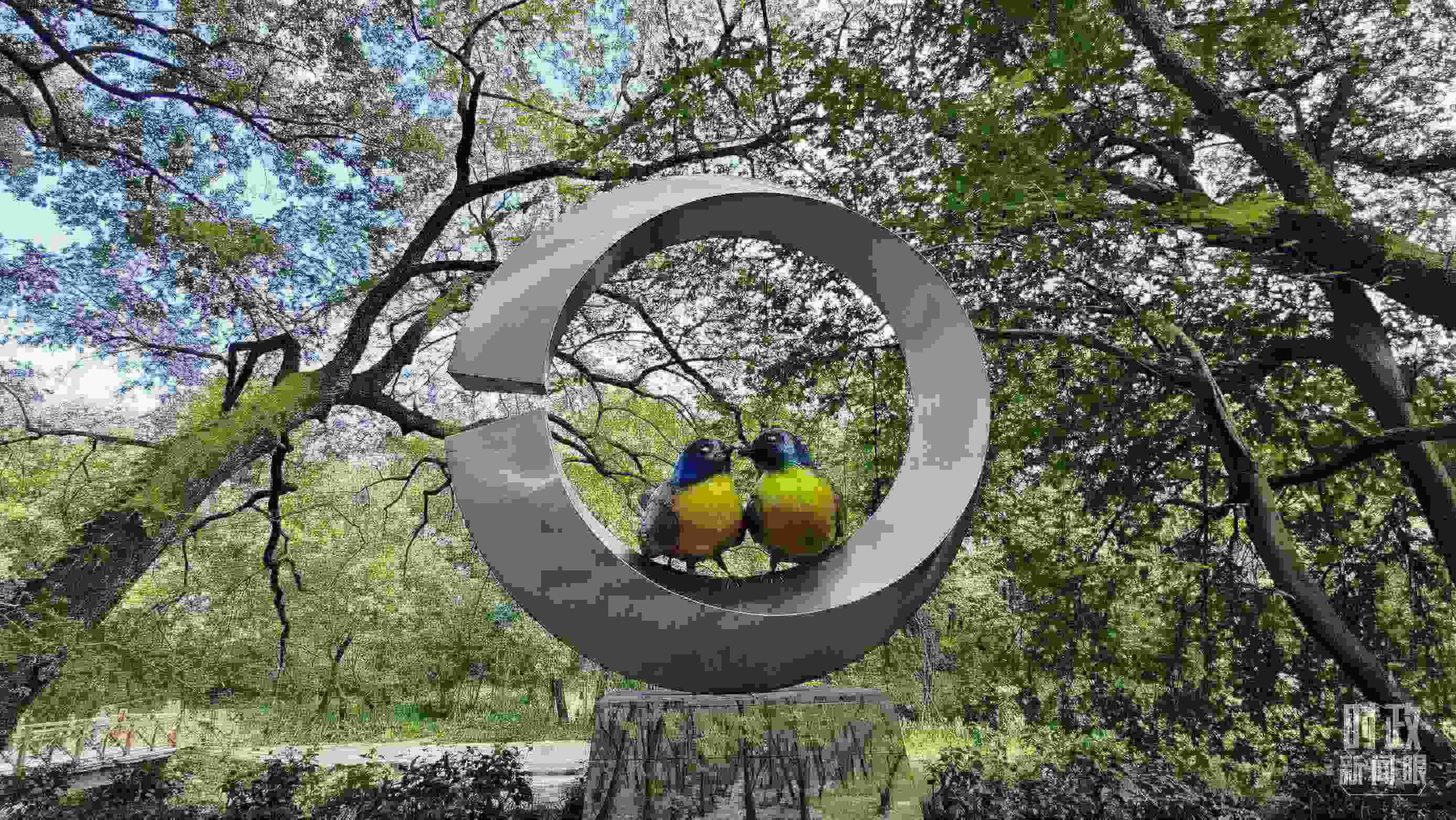 △石門村里的藍(lán)冠噪鹛雕像。（總臺央視記者許永松拍攝）