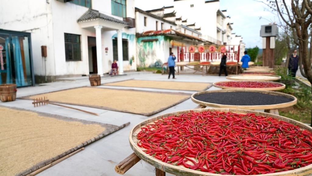 近日拍攝的江西省上饒市婺源縣秋口鎮(zhèn)王村石門自然村。新華社記者 胡晨歡 攝