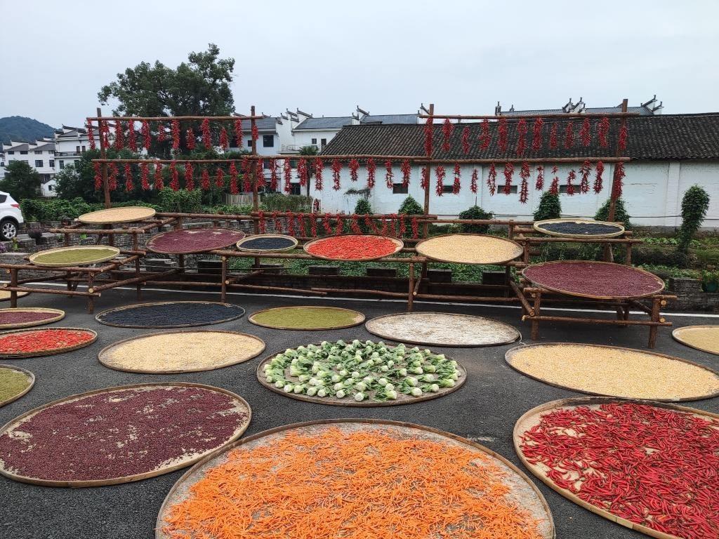 近日，江西省上饒市婺源縣秋口鎮(zhèn)王村村民晾曬的農(nóng)作物。新華社記者 劉佳敏 攝