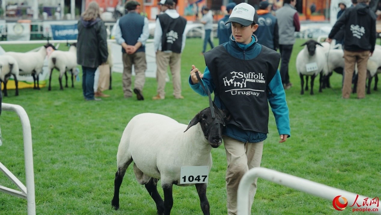 烏拉圭第118屆普拉多牧農(nóng)業(yè)國際博覽會(huì)現(xiàn)場。人民網(wǎng)記者 張若涵攝