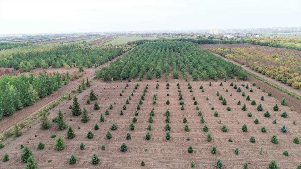 這是2023年9月11日在哈薩克斯坦首都阿斯塔納拍攝的一處植物種質(zhì)資源苗圃（無(wú)人機(jī)照片）。新華社發(fā)（法爾哈特·圖克諾夫 攝）