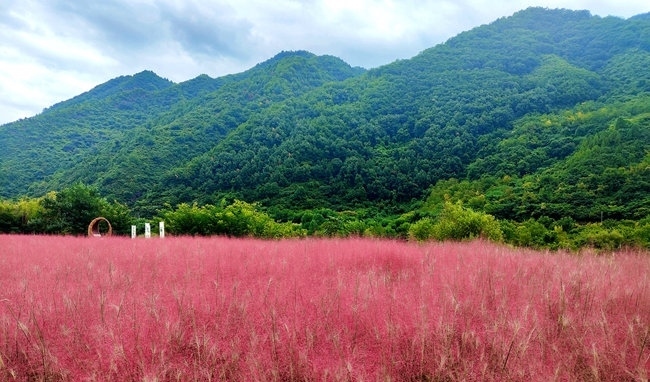 寶成線鳳縣境內(nèi)的路邊。