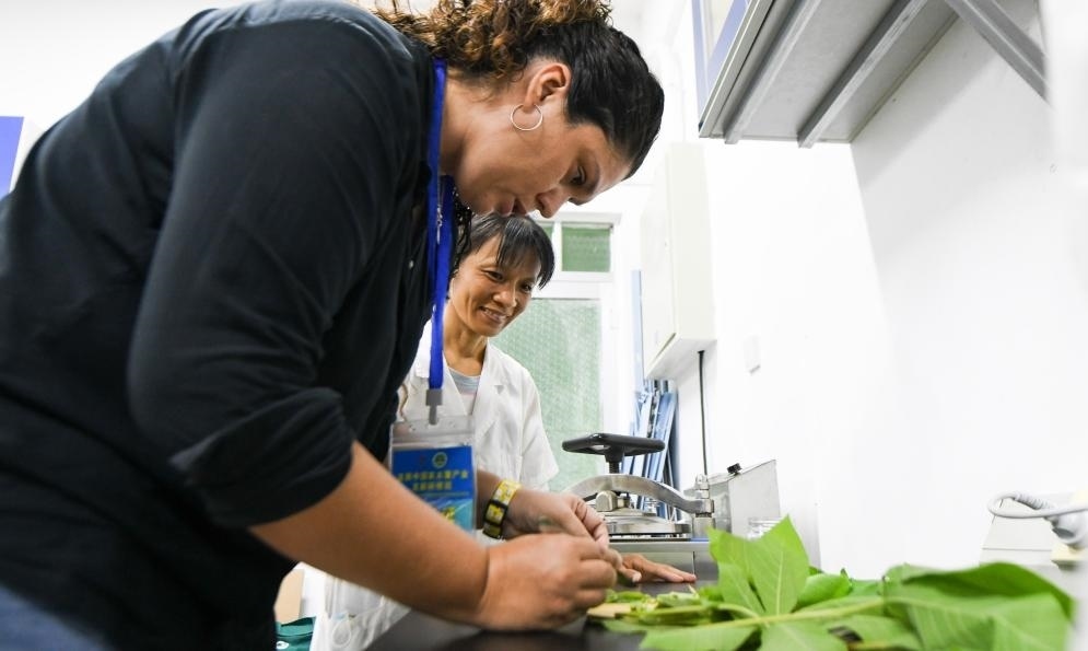 9月17日，來自哥倫比亞的研修班學員埃文·奧拉亞（左）在中國專家的指導下學習實操木薯組培快速繁育技術。