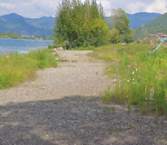 王軍所說被填區(qū)域。 人民網記者 黃鈺攝