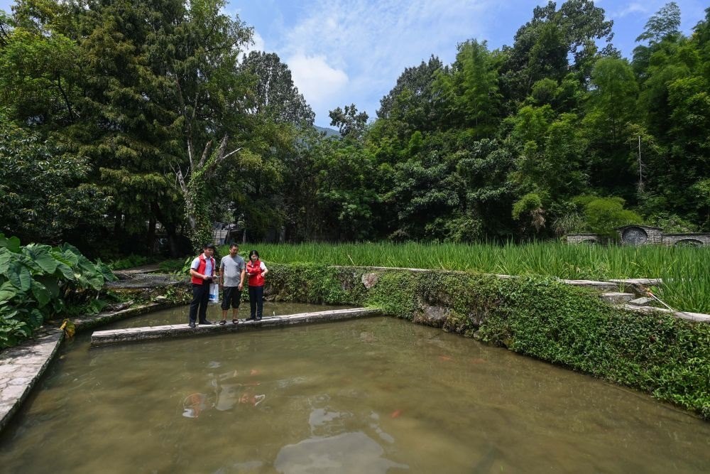 2023年8月17日，浙江省麗水市青田縣方山鄉(xiāng)田魚養(yǎng)殖戶吳勇強(qiáng)（中）在接受青田農(nóng)商銀行“小蜻蜓”服務(wù)隊(duì)志愿者提供的“惠民易貸”上門服務(wù)。近年來，青田縣金融發(fā)展中心聯(lián)合各個(gè)金融機(jī)構(gòu)優(yōu)化配套鄉(xiāng)村振興金融服務(wù)，推出“惠民易貸”“農(nóng)家樂貸”等金融產(chǎn)品，重點(diǎn)支持涉農(nóng)龍頭企業(yè)及特色種養(yǎng)殖產(chǎn)業(yè)。新華社記者 徐昱 攝