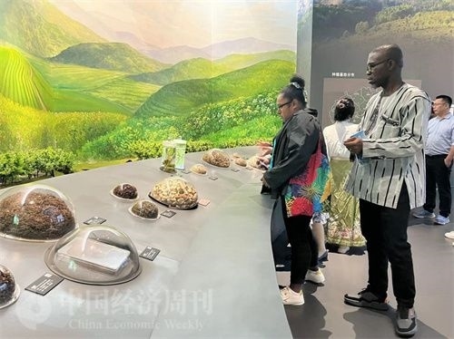  （在中國藥都中醫(yī)藥博物館，外媒記者了解中醫(yī)藥發(fā)展史。中國經(jīng)濟周刊記者 郭志強 攝）
