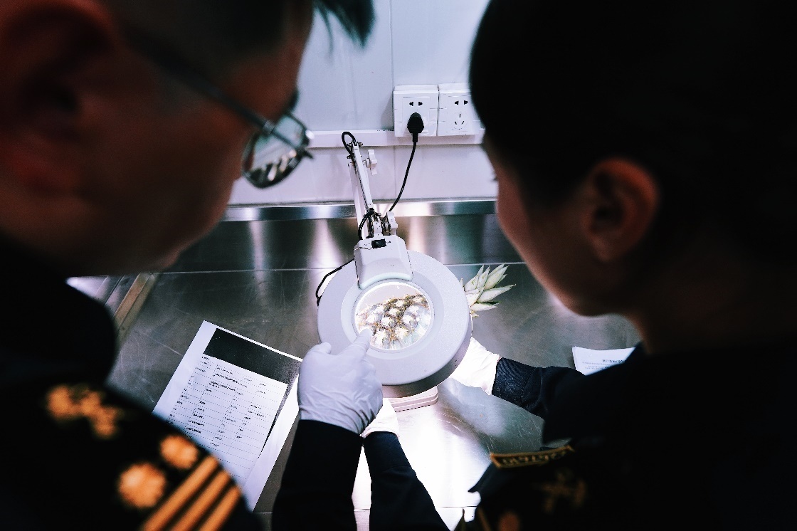 上海海關(guān)關(guān)員針對(duì)檢疫性有害生物和農(nóng)藥殘留進(jìn)行檢疫檢驗(yàn)。陳興洲攝