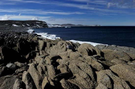 羅斯海恩克斯堡島的夏季風(fēng)光。新華社記者 張建松 攝