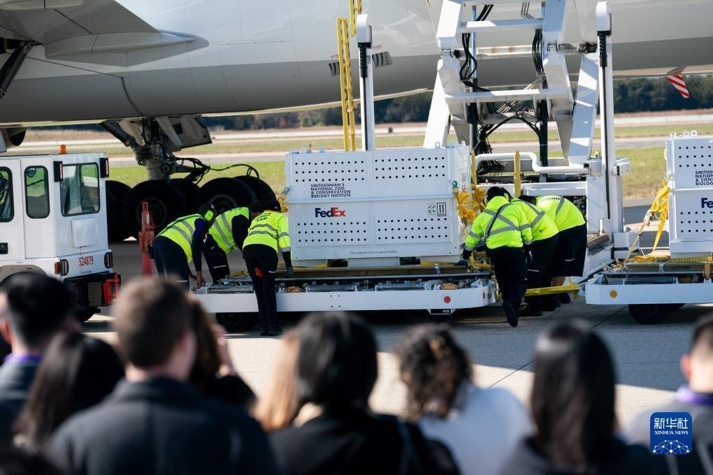 11月8日，在美國弗吉尼亞州的華盛頓杜勒斯國際機(jī)場，裝有大熊貓的特制“旅行包廂”準(zhǔn)備運(yùn)上專機(jī)。新華社記者劉杰攝
