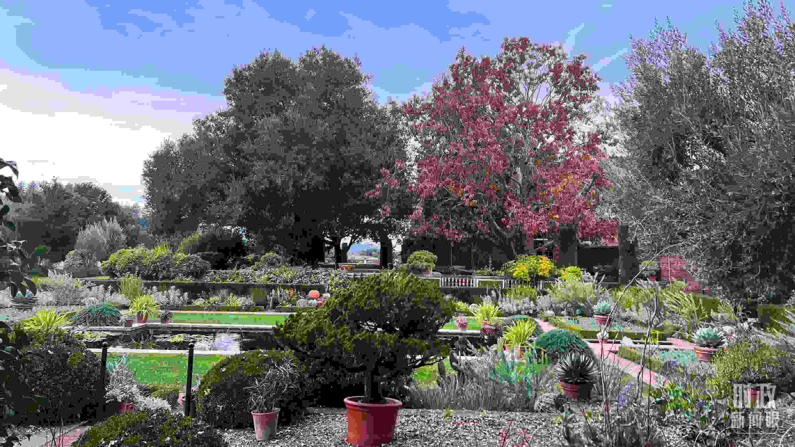 斐洛里莊園被稱作美國20世紀現(xiàn)存最精美鄉(xiāng)村莊園之一。(總臺央視記者程鋮拍攝)