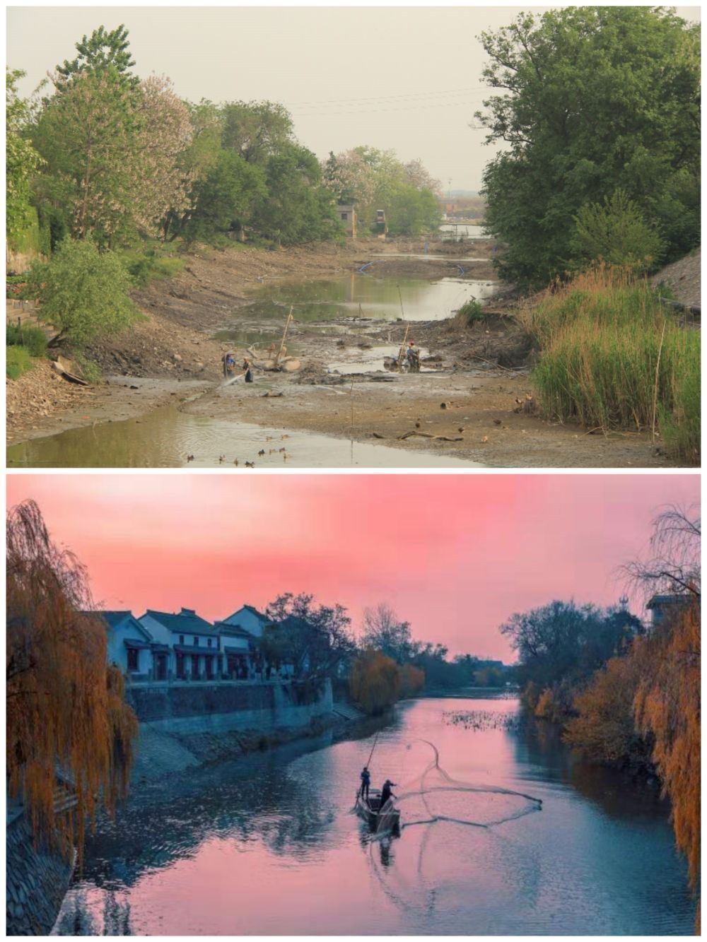 江蘇省揚州市江都區(qū)明清運河故道整治前后。（上圖：2012年；下圖：2020年）（孫友定 攝）