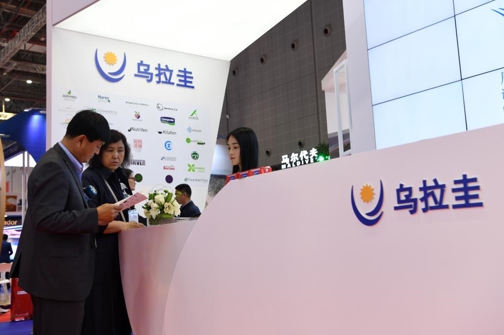 2019年11月6日，參觀者在第二屆進博會烏拉圭國家館展臺咨詢。