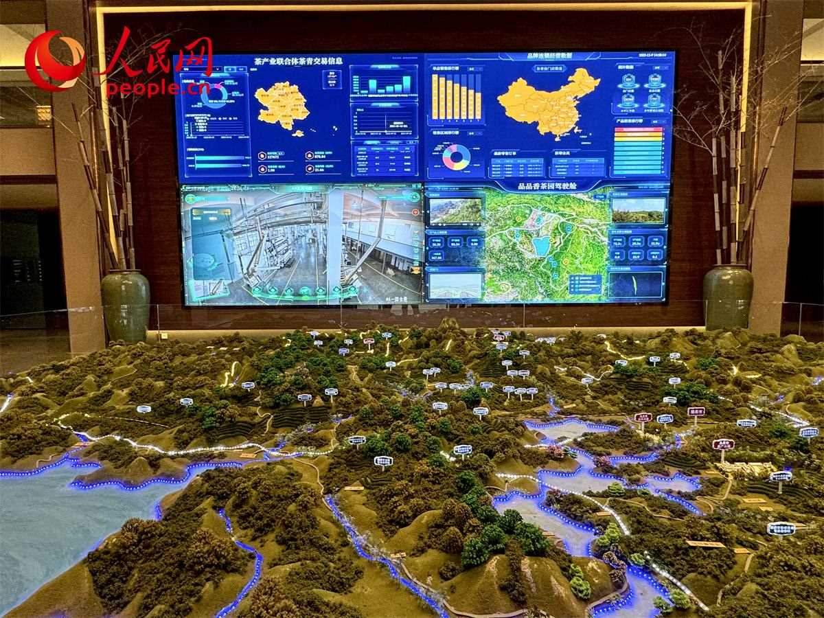 品品香白茶產(chǎn)業(yè)園信息中心數(shù)智化大屏。人民網(wǎng)記者 劉微攝