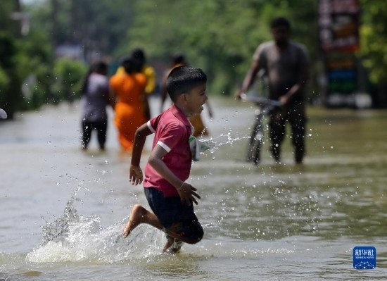 11月24日，一名男孩在斯里蘭卡加姆珀哈涉水出行。新華社發(fā)（阿吉特·佩雷拉攝）