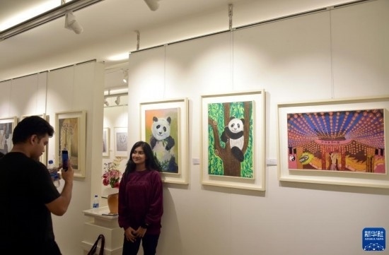 11月22日，在孟加拉國達卡，人們在“國家印象”繪畫展上參觀拍照。新華社發(fā)（薩利姆攝）