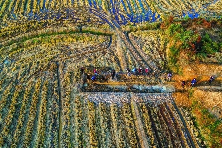 良渚遺址考古發(fā)掘現(xiàn)場(chǎng)。