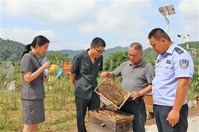  圖②：蒙山法院黃村法庭法官深入蜂蜜合作社，實(shí)地了解蜂農(nóng)需求。