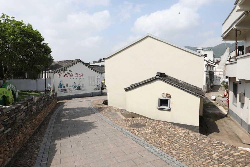 浙江省義烏市李祖村一景（2023年5月23日攝）。新華社記者 杜瀟逸 攝