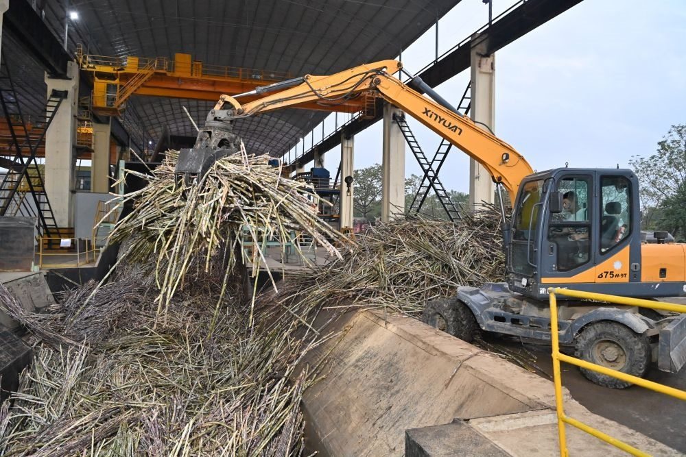 12月14日，在廣西來賓東糖鳳凰有限公司，員工操作機械將甘蔗投入傳送帶，準(zhǔn)備送往壓榨車間。