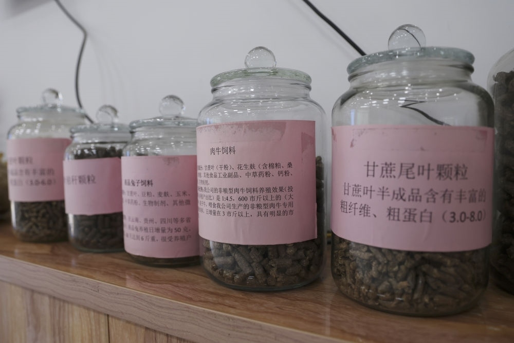 這是12月13日在來賓市興賓區(qū)小平陽鎮(zhèn)一家飼料廠拍攝的以甘蔗尾葉為原料制成的飼料。