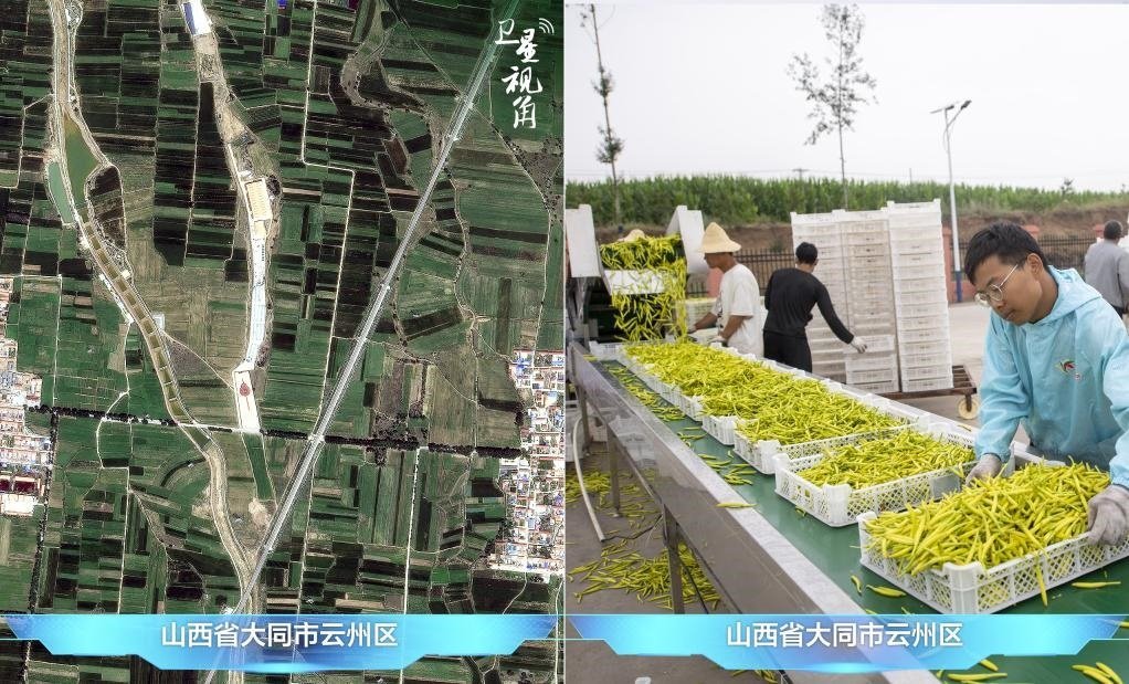 當前，大同市開發(fā)黃花菜品、食品、飲品、功能食品、化妝品、文創(chuàng)產(chǎn)品六大系列130余種，全產(chǎn)業(yè)鏈產(chǎn)值超40億元。