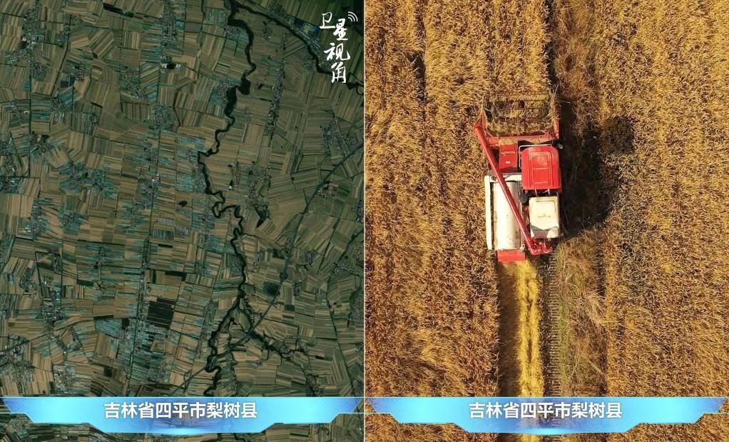 隨著現(xiàn)代化農(nóng)機普及應(yīng)用，保護性耕作“梨樹模式”得以大面積推廣，不僅使黑土地保護與利用持續(xù)深入，更為糧食作物高產(chǎn)穩(wěn)產(chǎn)助力。