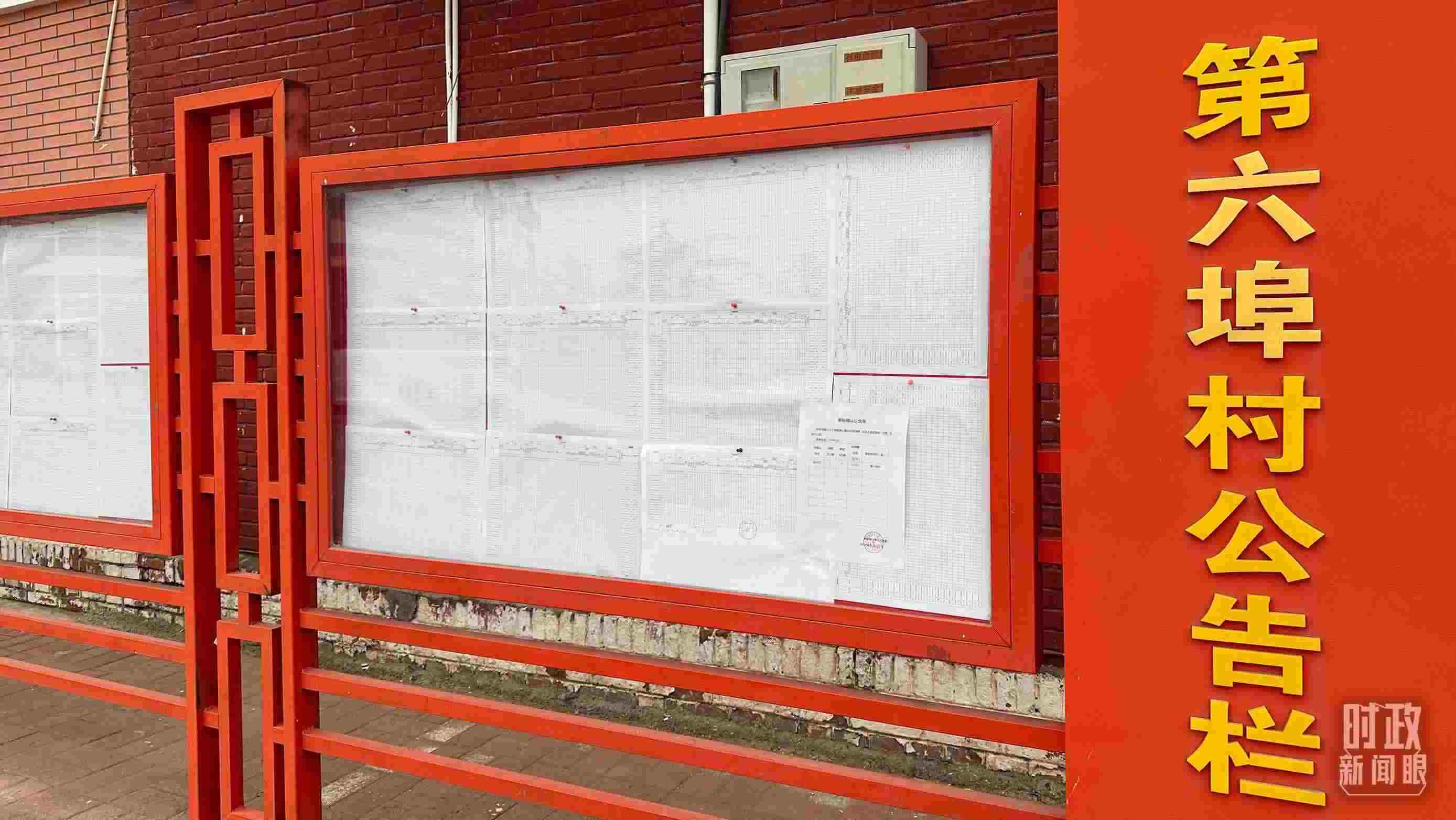 △第六埠村公告欄里張貼著“天津市2023年蓄滯洪區(qū)農(nóng)作物、經(jīng)濟林補償標準表”等。（總臺央視記者覃思拍攝）