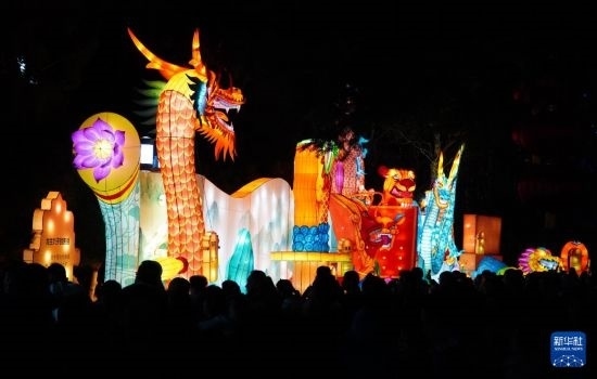 2月11日晚，人們?cè)跐?jì)南市趵突泉公園觀賞花燈。