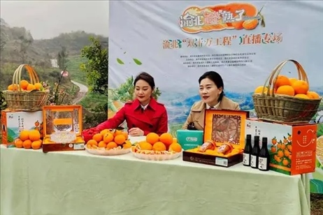 2021年2月26日，在重慶渝北區(qū)大盛鎮(zhèn)青龍村舉辦的直播活動(dòng)現(xiàn)場(chǎng)。