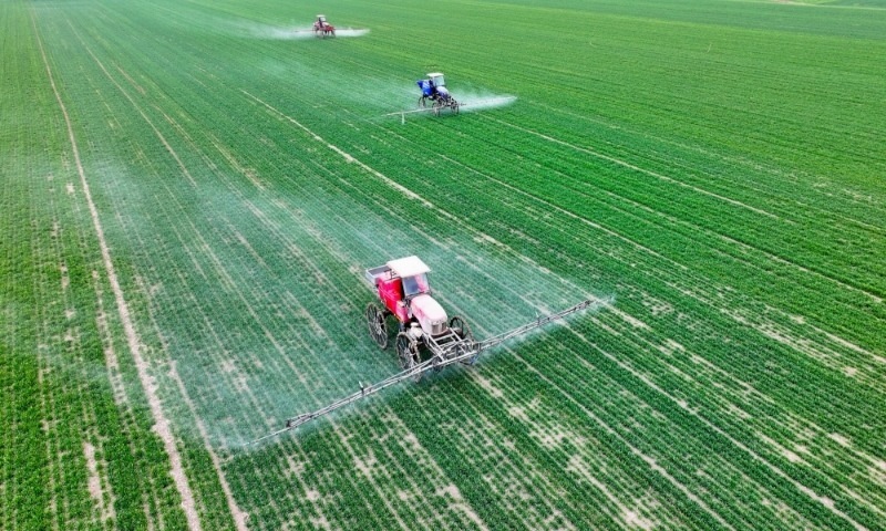 2024年2月18日，安徽省亳州市，利辛縣紀(jì)王場鄉(xiāng)孫老家村麥田，農(nóng)民駕駛自走式高桿噴霧機(jī)對小麥進(jìn)行噴藥作業(yè)。