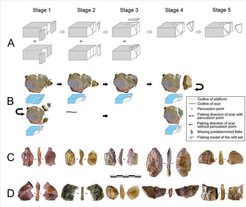 岑家灣遺址“準(zhǔn)備石核技術(shù)”及相關(guān)石制品。（受訪單位供圖）