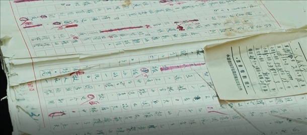 曲波《林海雪原》手稿。主辦方供圖