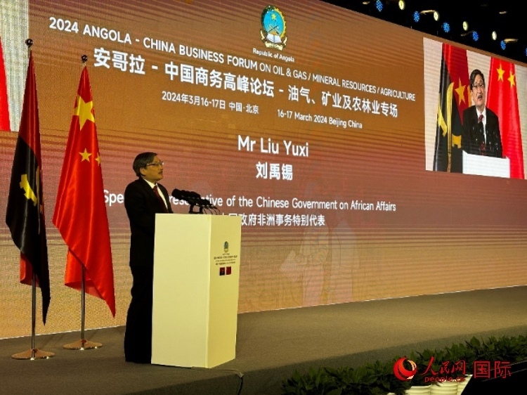 中國政府非洲事務特別代表劉禹錫。人民網記者 張榮攝