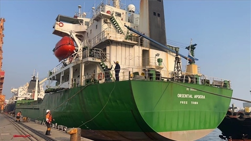 中蘇海運直航貨輪靠泊蘇里南碼頭。中國駐蘇里南大使館供圖