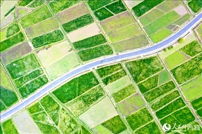 無(wú)人機(jī)視角下的西藏山南市瓊結(jié)農(nóng)田。人民網(wǎng)記者 次仁羅布攝