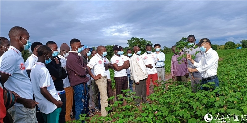 項目組長首小勇向當(dāng)?shù)孛揶r(nóng)做技術(shù)講解。人民網(wǎng)記者 黃培昭攝