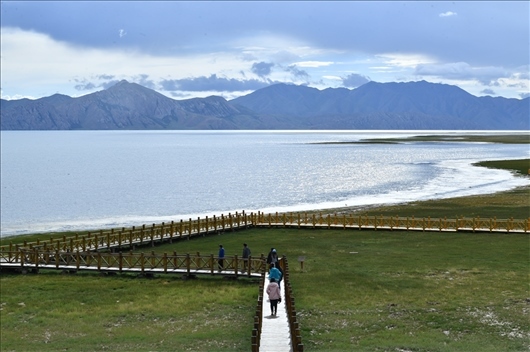 △ 游客行走在青海瑪多縣冬格措納湖畔的木棧道上。