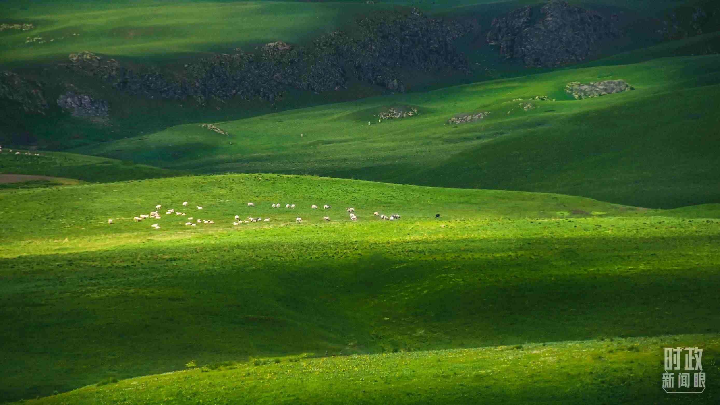 △祁連山草原光影。（圖/視覺中國）