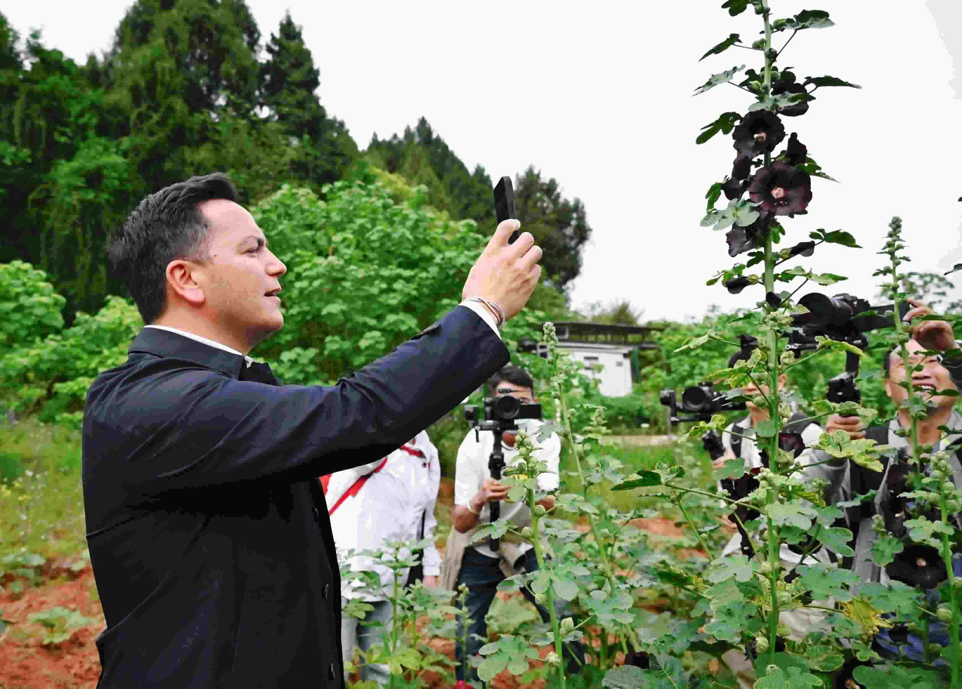  △2024年4月23日，國(guó)際園藝生產(chǎn)者協(xié)會(huì)主席萊昂納多·卡皮塔尼奧在成都市金堂縣鮮花山谷景區(qū)考察蜀葵產(chǎn)業(yè)。