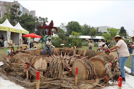 坎波·馬特活動(dòng)現(xiàn)場(chǎng)。埃內(nèi)斯托·多明戈斯攝