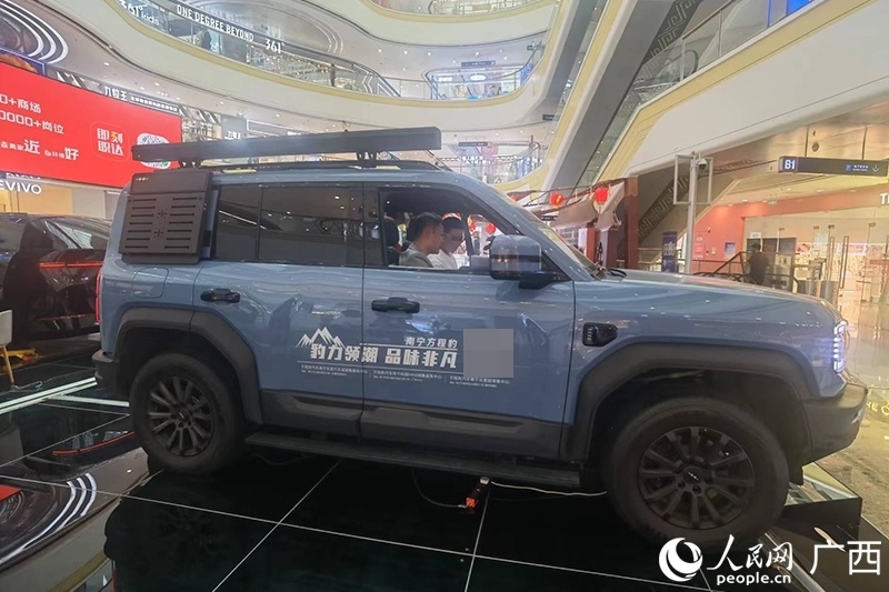 消費(fèi)者在商場(chǎng)選購(gòu)汽車。人民網(wǎng)記者 陳燕攝